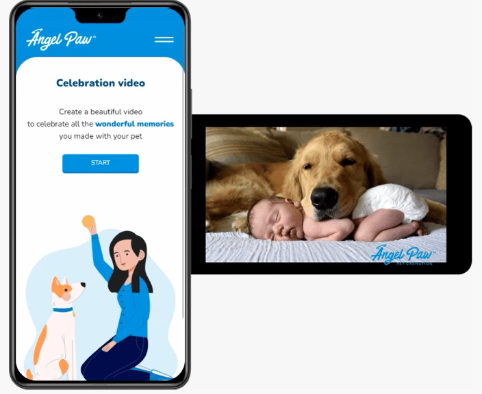 Celebration Videos to share on Social Media