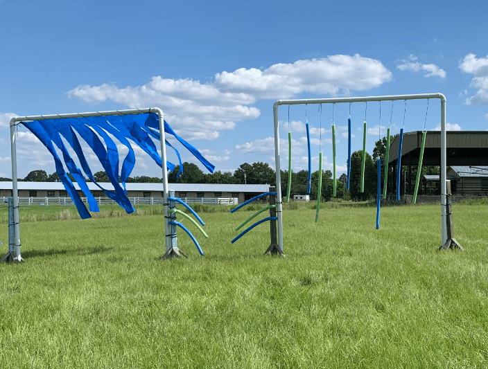 This is part of our obstacle course used to desensitize training horses.
