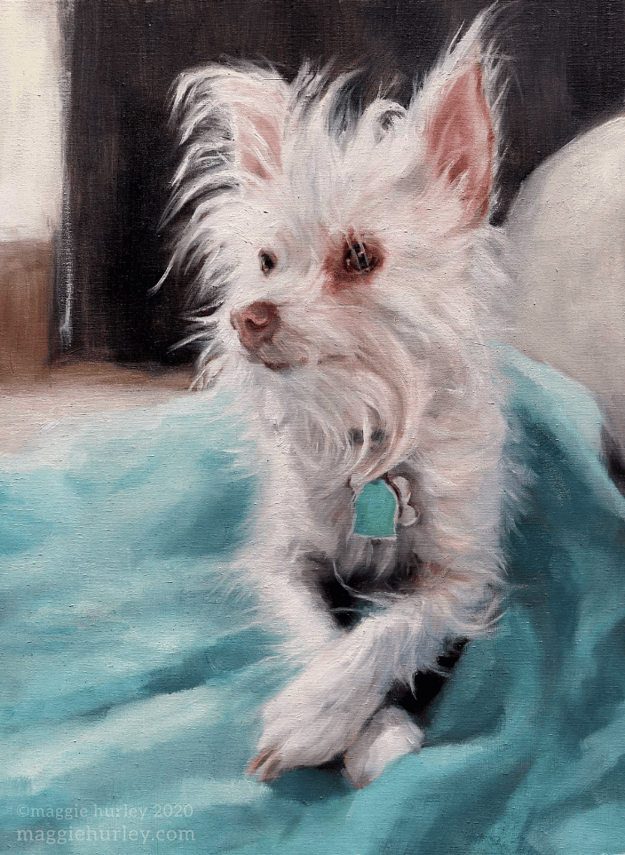A small dog