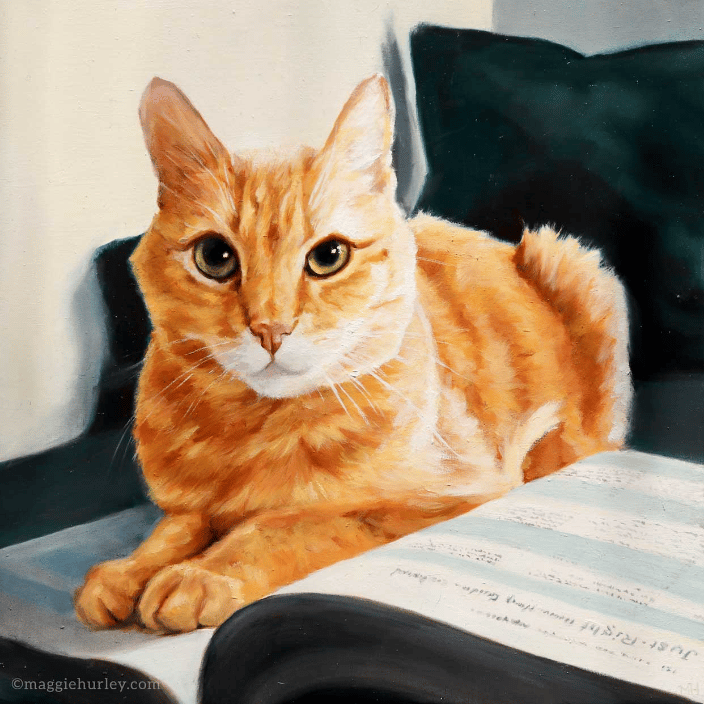 Ernesto the cat