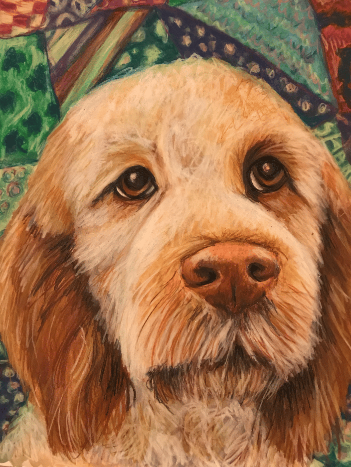 My cousin's labradoodle, Charlie. Background is based on bandanas from my cousin's many dogs and many visits to the groomer!