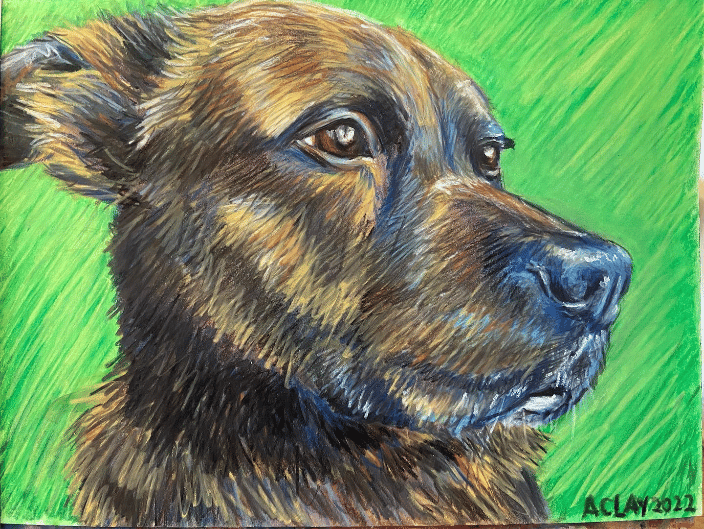 A client's rescue dog