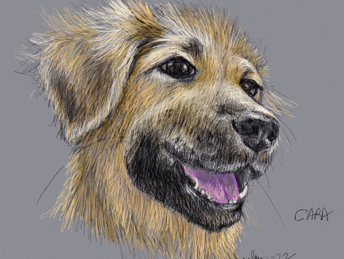 This is a digital piece I did of my rescue pup, Cara, using an old photo I had taken of her as a puppy. I can do digital drawings on commission, too, and the charge is substantially less for these.
