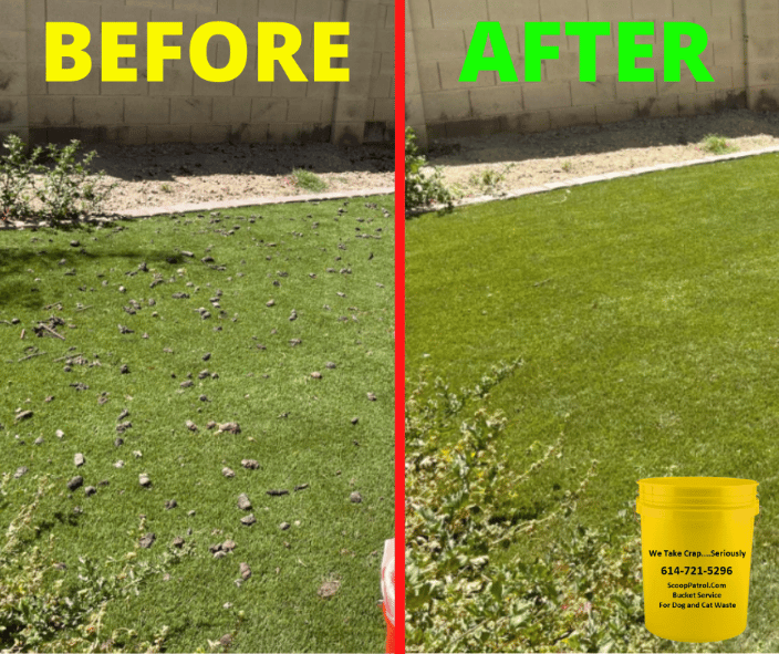 pet waste removal before after