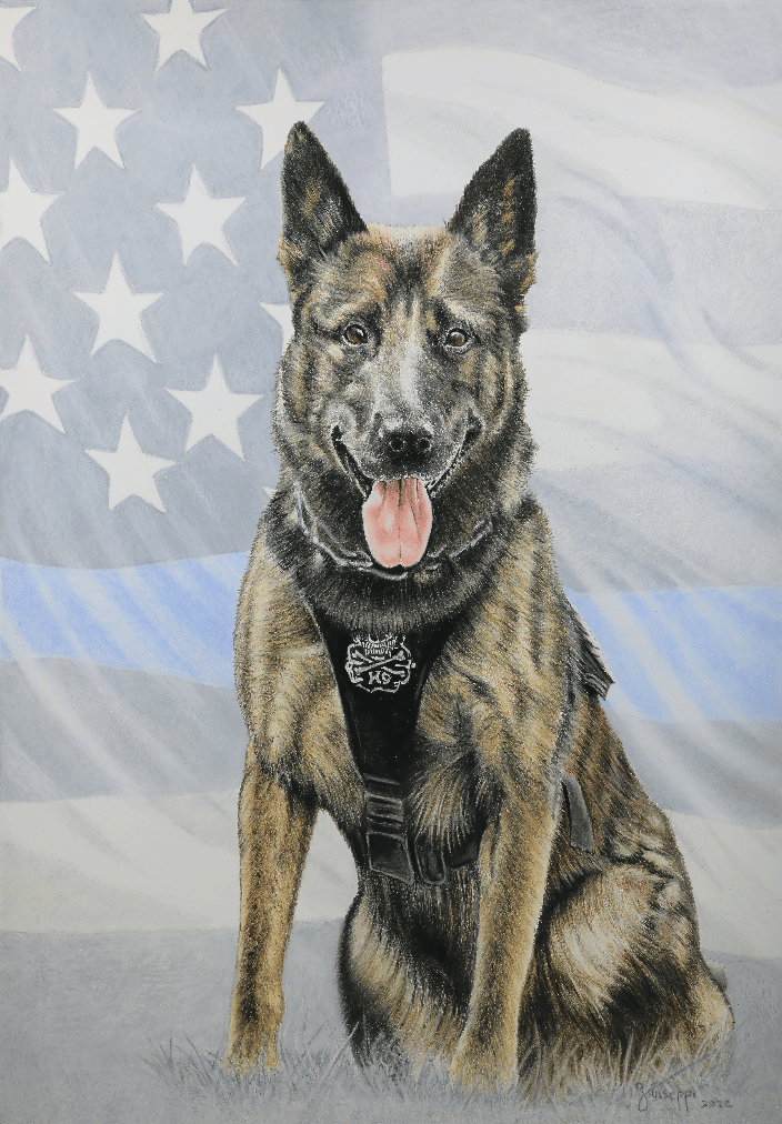 Dingo - K9