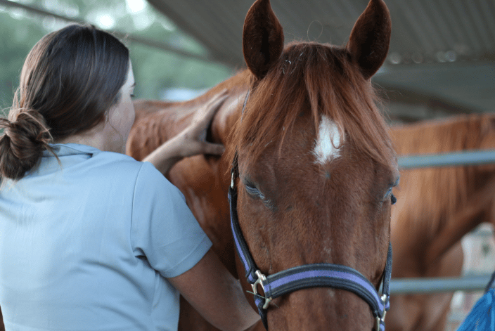 Clifford enjoying neck acupressure points.