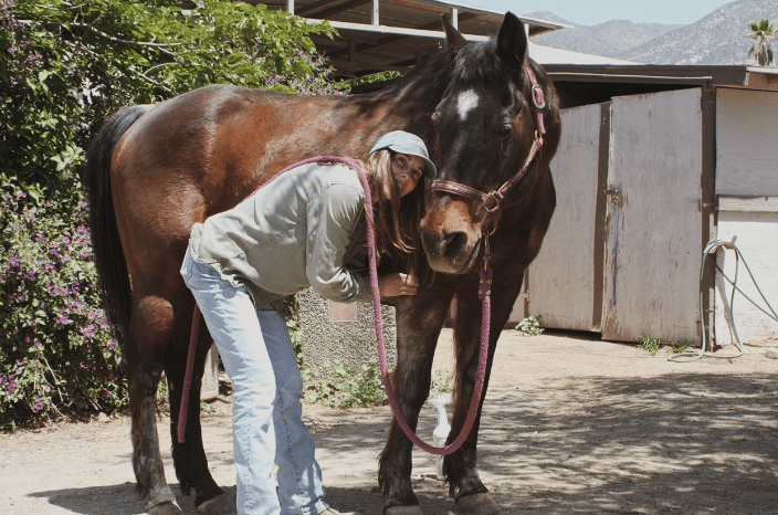 I am so humbled by these incredible animals. I feel so grateful to be able to touch their lives and learn from them.