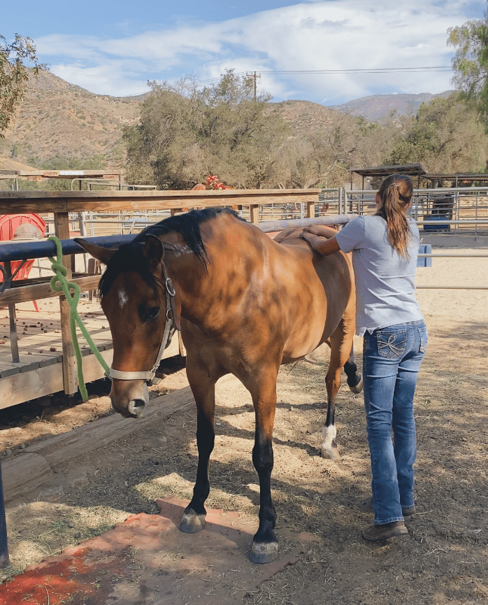 A lot of movement and big stretch in this boys hind end