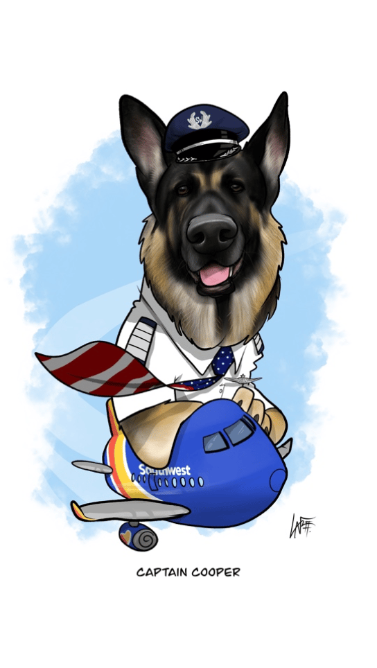 German Shepherd 