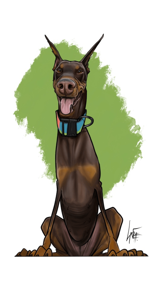 Doberman Pinscher 