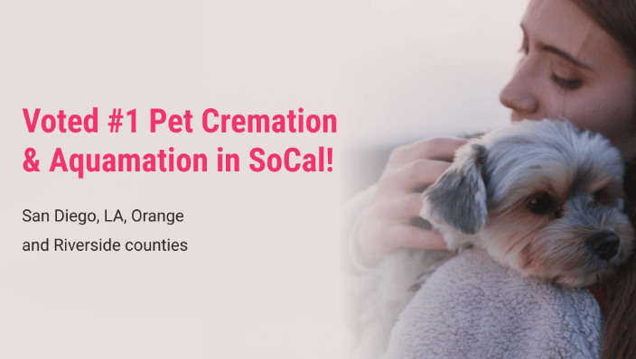 LovingPet-Voted #1 in SoCal