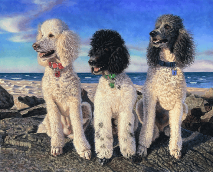 The Poodle Brigade