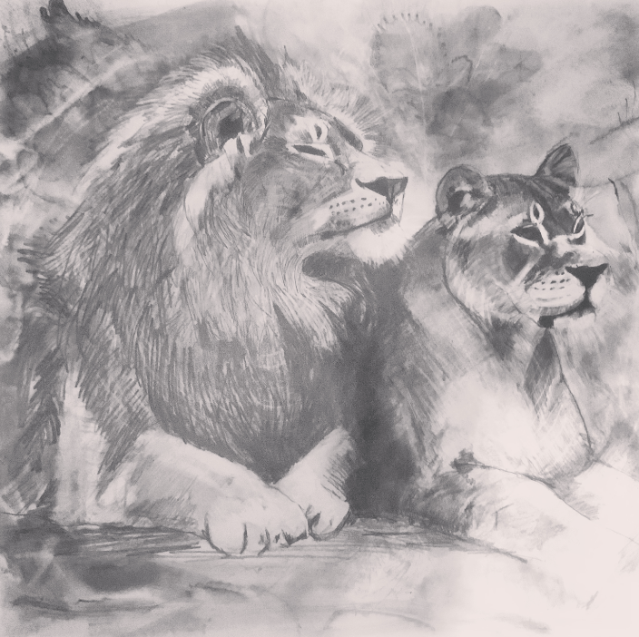 Tiger Pair (graphite)