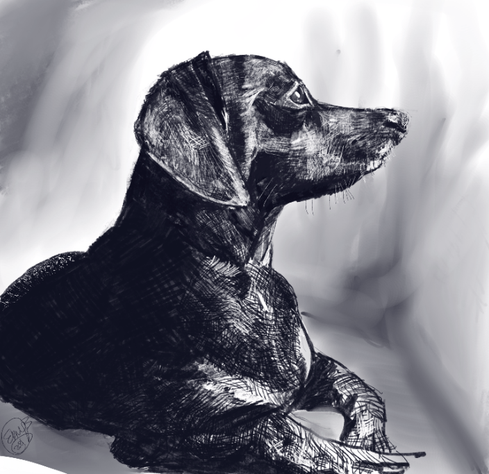 Puppy (Digital Pencil)