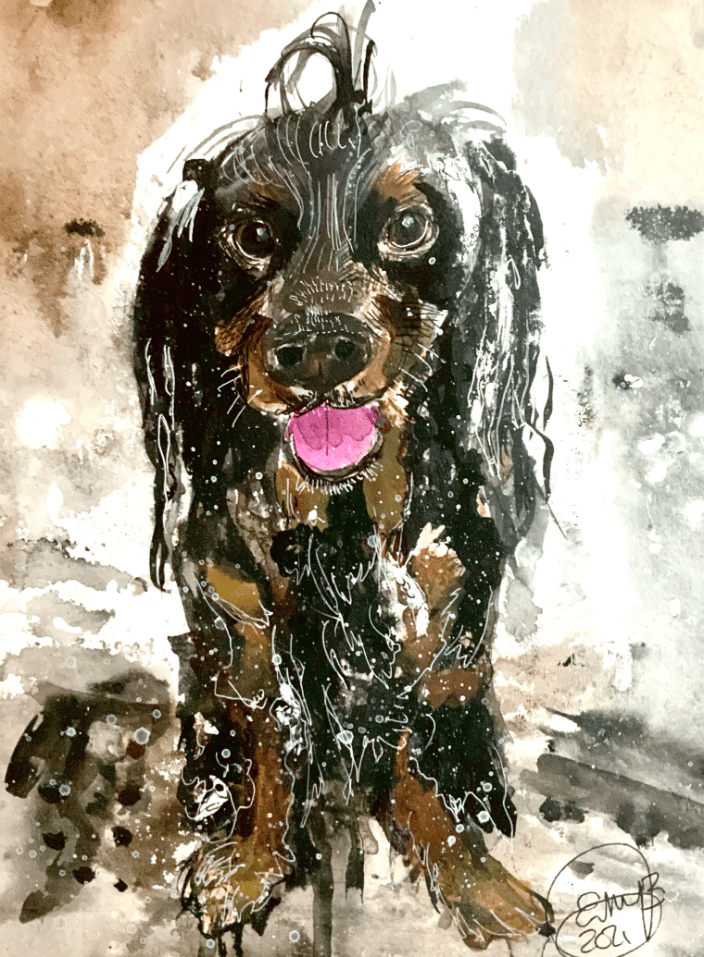 Bandit (Watercolor and Ink)