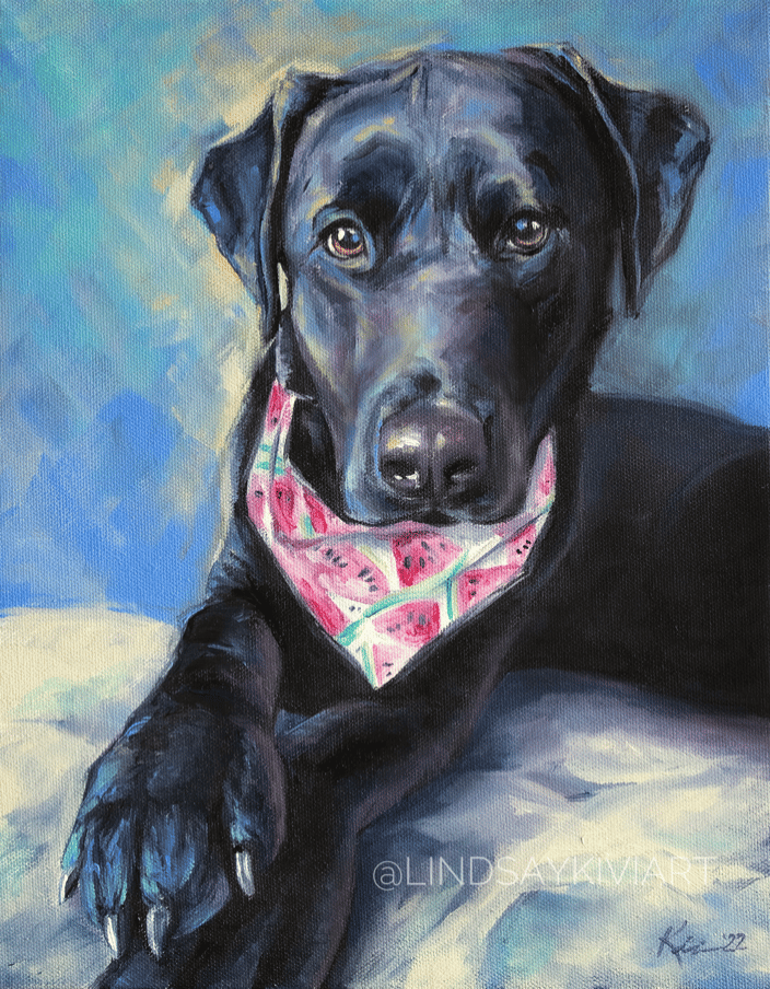 Black Lab Puppy