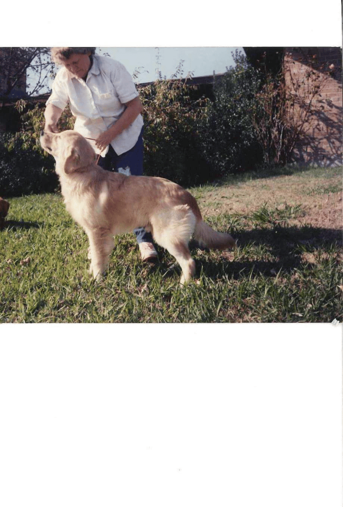 My mother and her furry friend Cody.  My mother raised dogs for years.