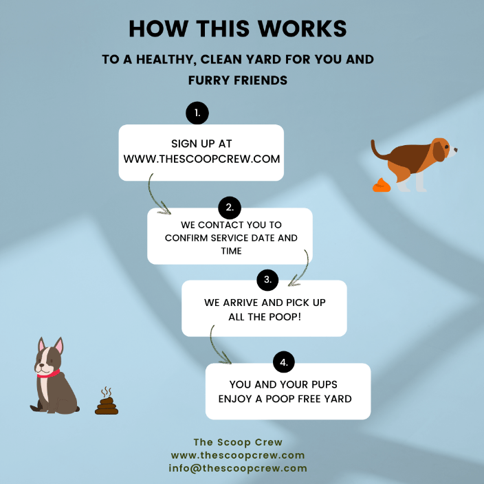 Easy Steps