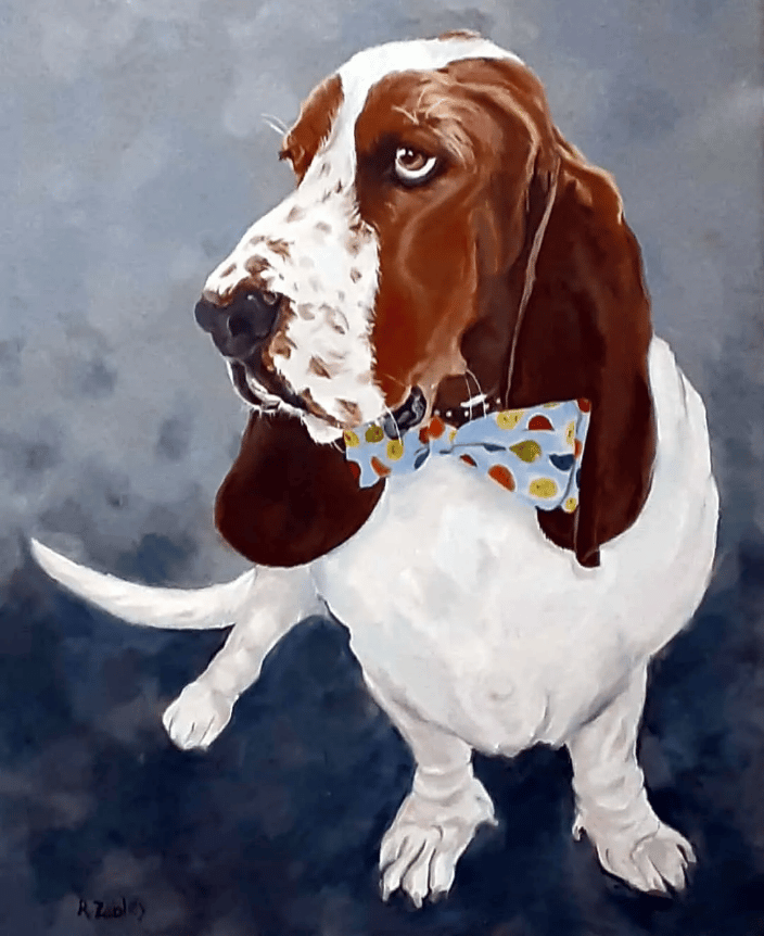 Basset Hound Oil Painting Portrait Robin Zebley