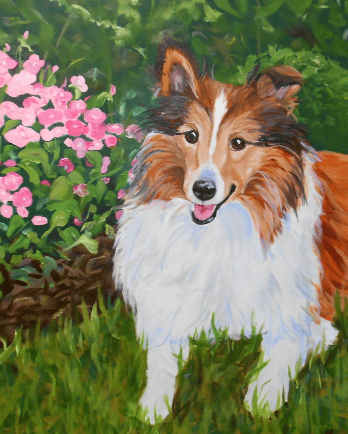 Sheltie Oil Painting Portrait