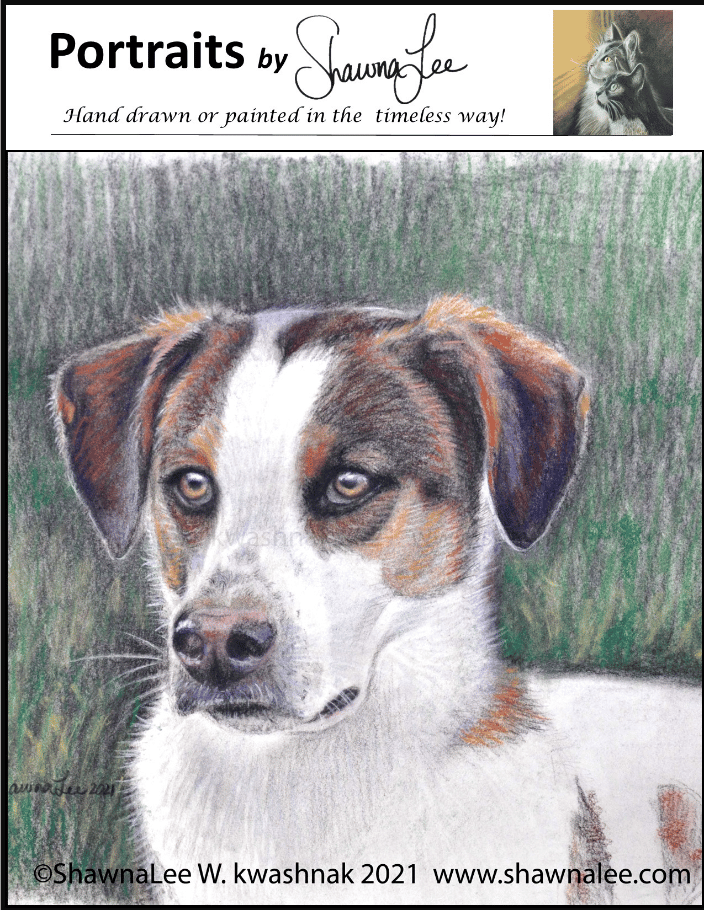 Charcoal Pet Portrait with Pastels