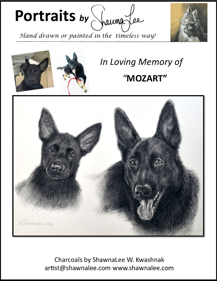 A montage portrait of Mozart in Charcoals.  