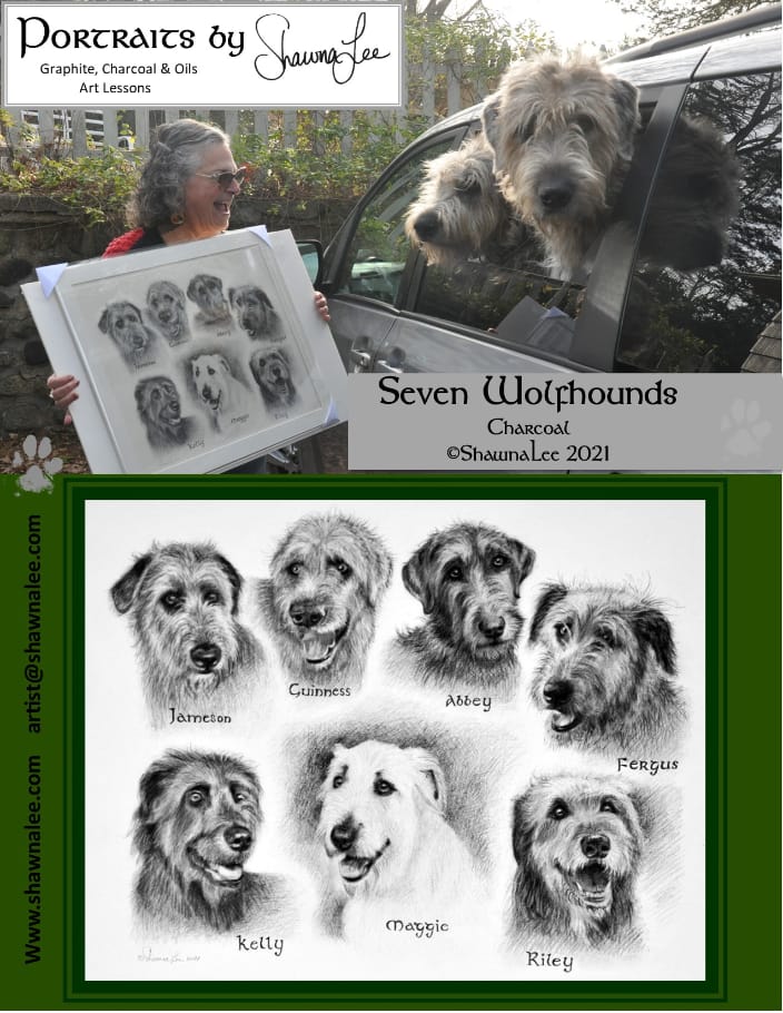 A montage of Seven Irish Wolfhounds in charcoals.