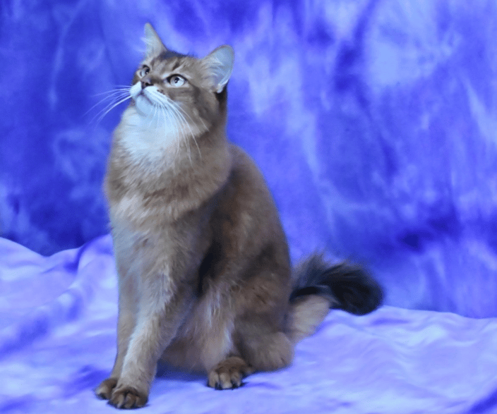 Summer - Studio Shoot