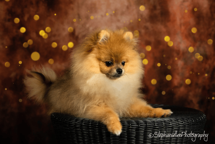 At home studio portrait