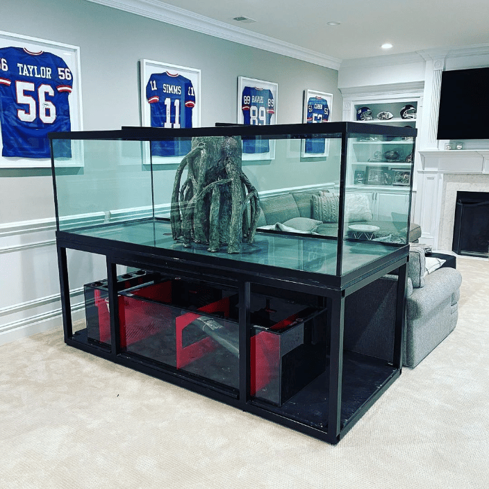 MAZON - 800GAL REEF PROJECT