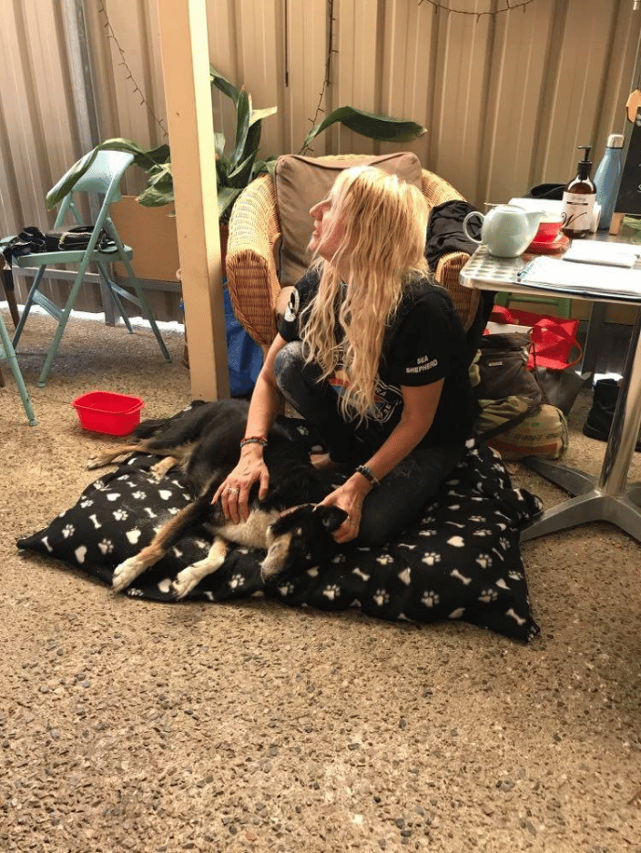 Dog Reiki at Vegan Cafe