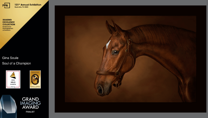 'Soul of a Champion' - Grand Imaging Award Nominated Image