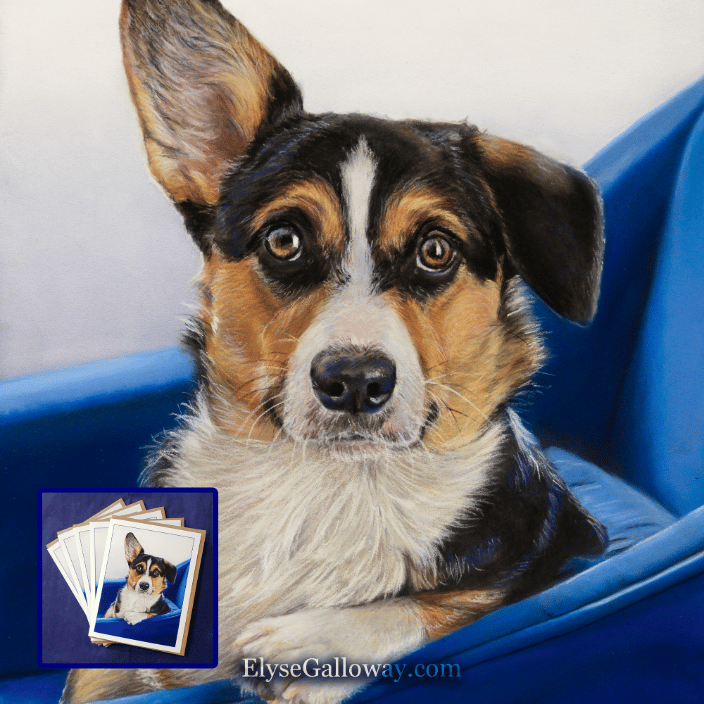 Benji 9x12 Aug2022 ElyseGalloway.com