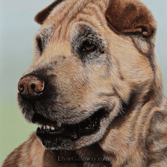 Bear 9x12 Dec2020 ElyseGalloway.com