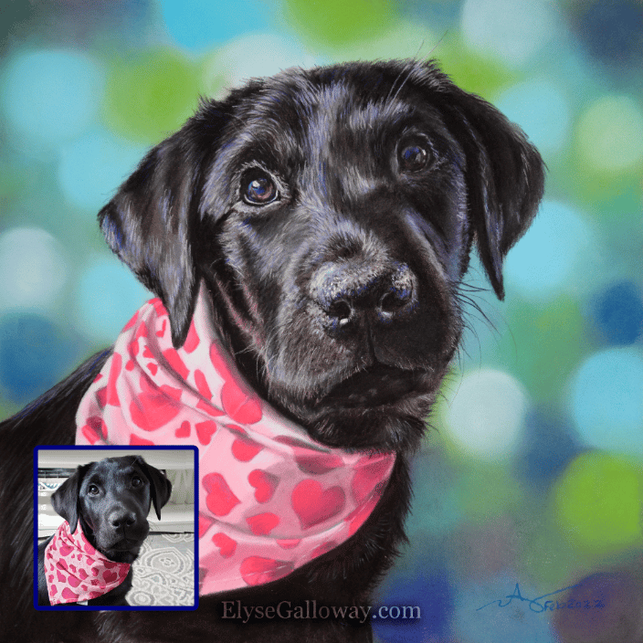 Lola 12x12 Feb2022 ElyseGalloway.com