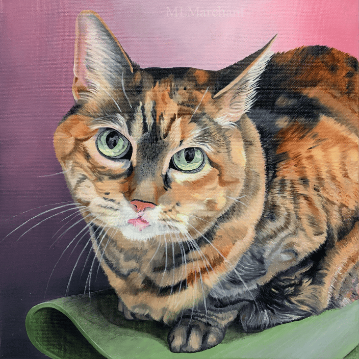 Tabby cat oil painting