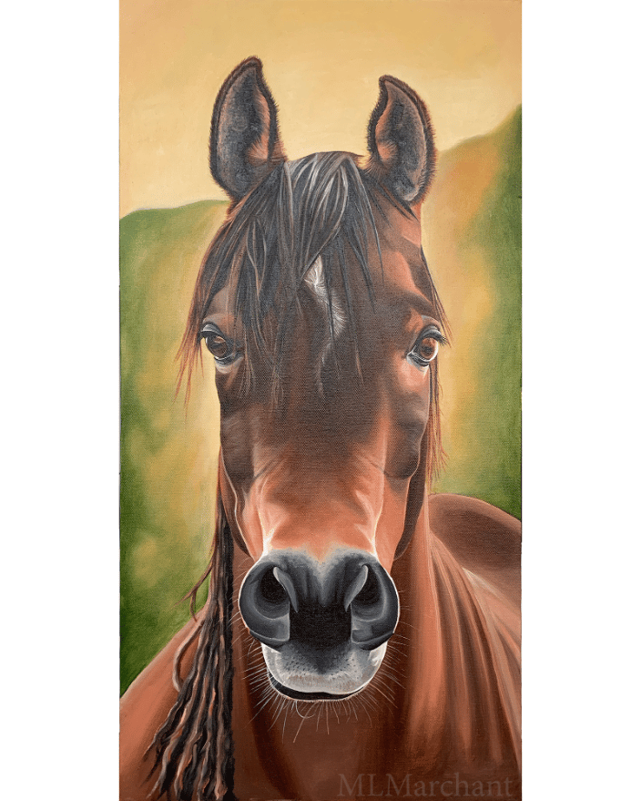 Custom oil painting of a horse.