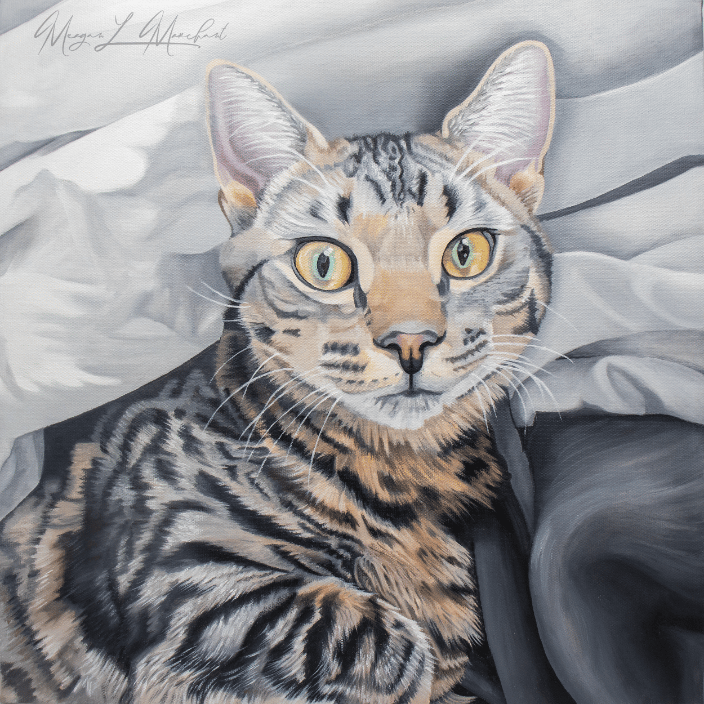 Custom oil painting of a cat.