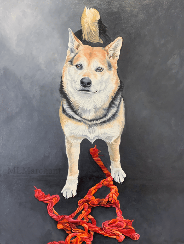 Custom oil painting of a Shiba Inu.