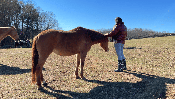 Conducting Reiki healing on *Sage