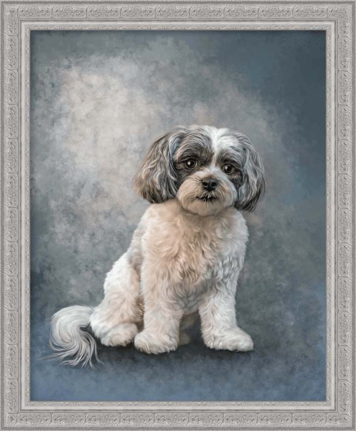 Shi-tzu