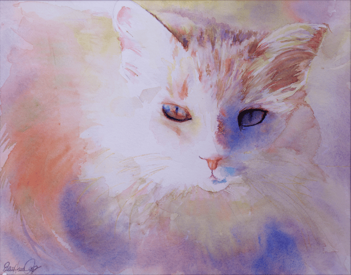 Cat.  This is titled "The Magicat"