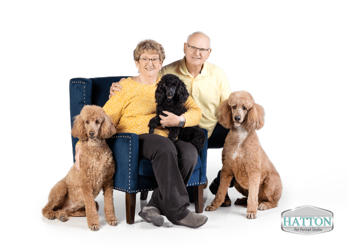 Legacy Family Portrait, Hatton Pet Portrait Studio