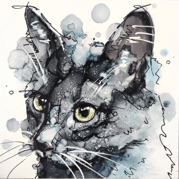 6x6 Cat Portrait