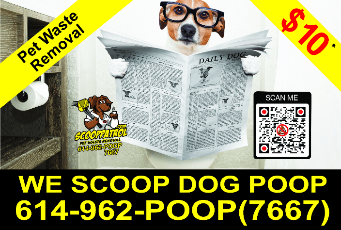 scoop patrol pet waste removal