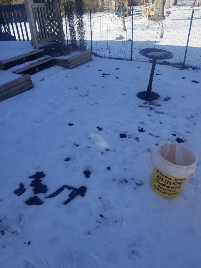 #scooppatrol pet waste removal