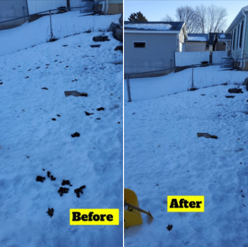 #scooppatrol pet waste removal