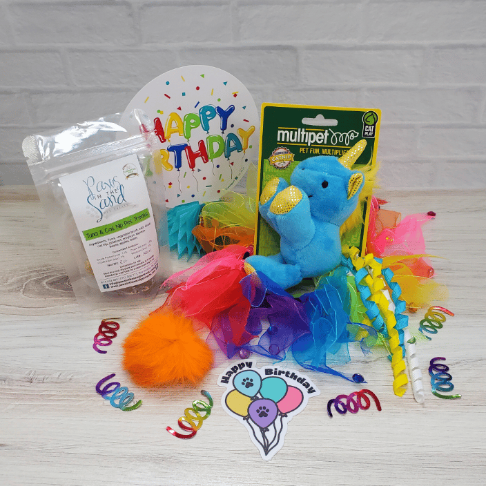 Kitty Ice Cream Pawty Bundle - Pet Birthday