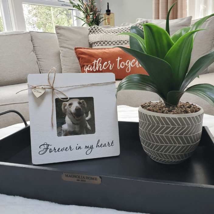 Patronizable Memorial Photo Frame - Pet Sympathy