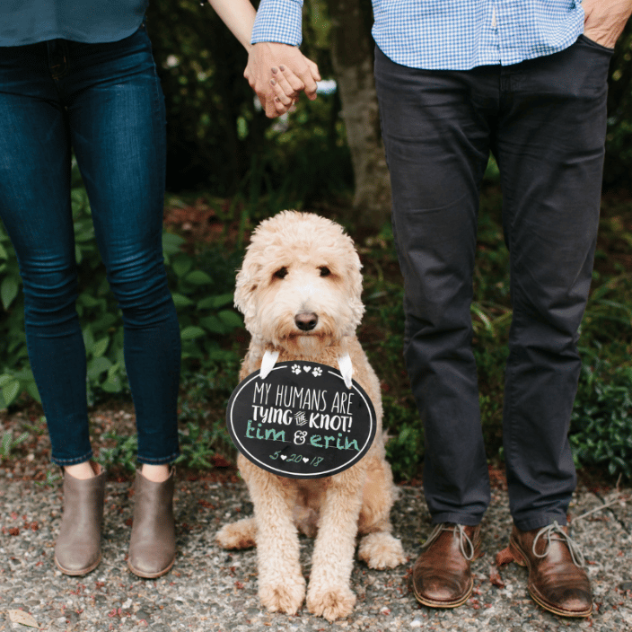 Chalkboard Wedding Announcement Sign - Pet Milestones